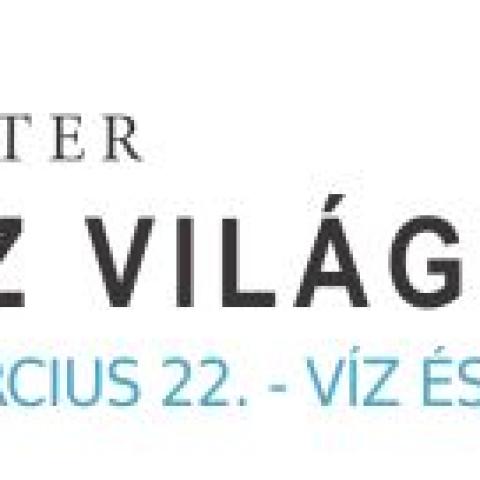 Víz Világnap 2020